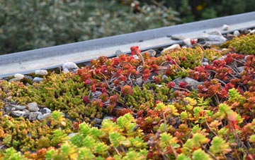 the cost of Mewith Head green roof installation