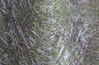 Mewith Head fibreglass roof work